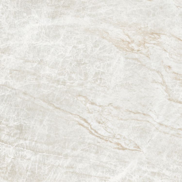 Kraken Polished 48 x 48